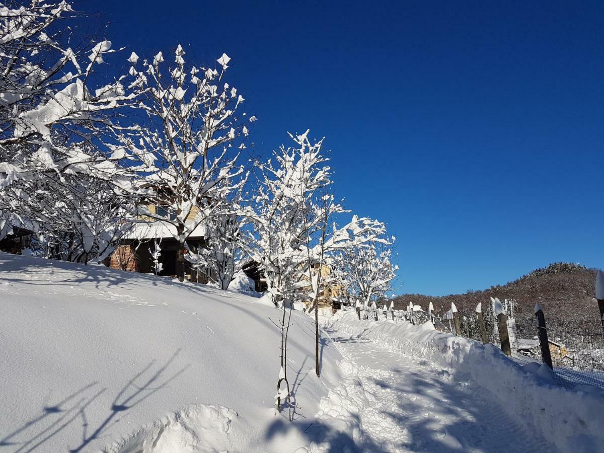 Casa Vacanze Le Primule Peveragno Eksteriør billede