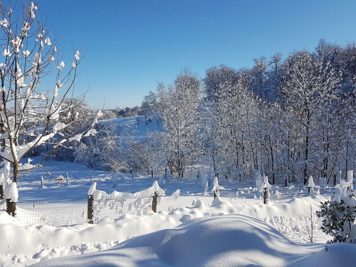 Casa Vacanze Le Primule Peveragno Eksteriør billede